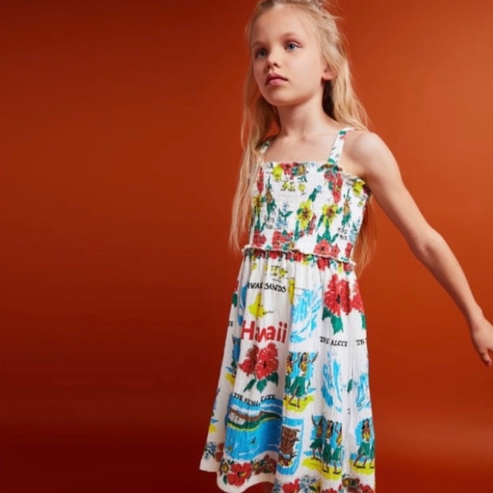 Zara Dress
